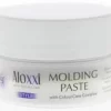 Aloxxi Molding Paste 51gr